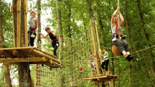 Parcours Forestier en famille